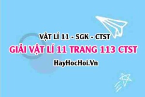 Giải Vật lí 11 Chân trời sáng tạo trang 113 SGK